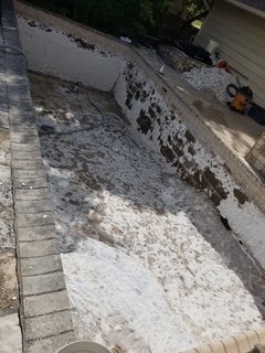 Tile & Coping — swimming pool renovation pictures in Austin